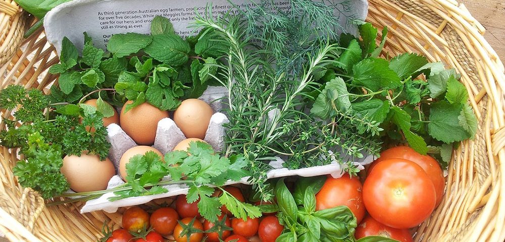 Hypnosis for Weight Loss and Balanced Eating, Connect Hypnosis, Brisbane